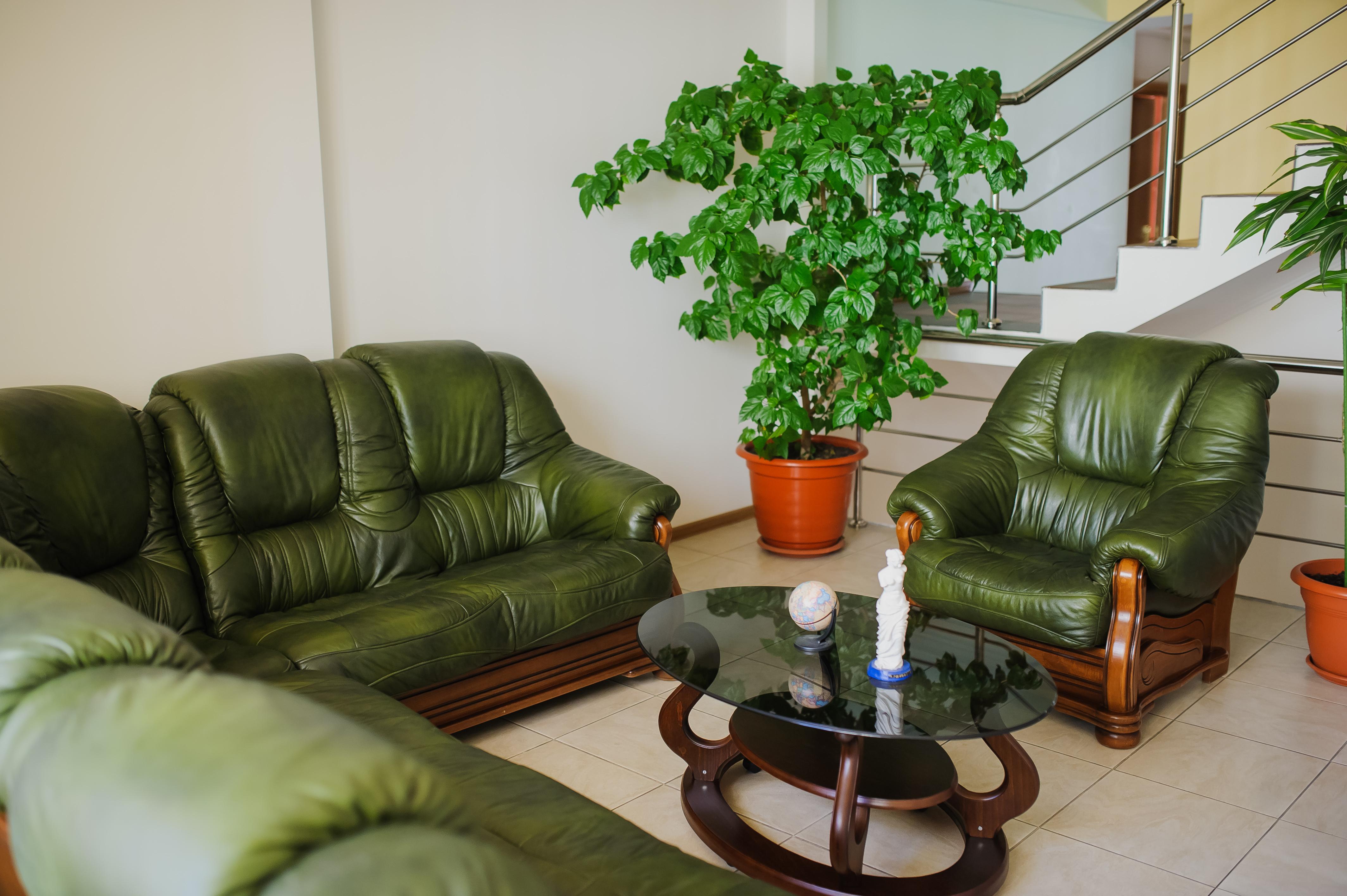 צ'יסינאו Villa Arus מראה חיצוני תמונה